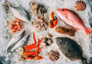orange and white fish on white and black pebbles